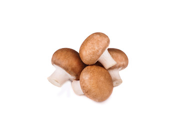 Fresh champignon mushrooms on white background