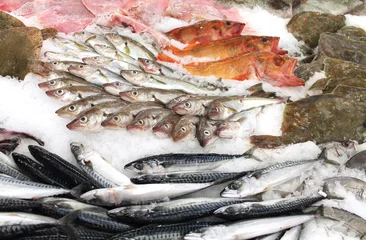 Keuken spatwand met foto étalage de poissons © gribouilleeva