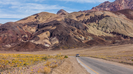 The highway is surrounded by picturesque purple mountains.  Yellow wild flowers growing in the dry desert. Artist's Drive, Death Valley National Park