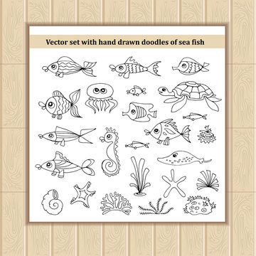 Vector set with hand drawn isolated doodles of sea fish