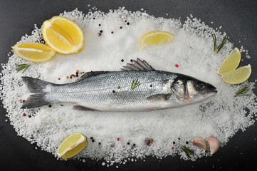 one seabass fish on salt with lemon and lime. raw fish. top view