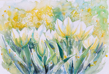 Watercolors painting of many white tulips in sunny garden