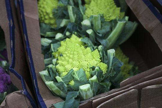Romanesco cauliflower with its fractal shapes and Fibonacci sequ