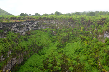 Krater in den Tropen mit Bäumen bewachsen