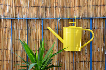 Yellow metal watering can hang on balcony railing next to green plant