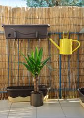 Yellow metal watering can (pot) hang on balcony railing, bamboo fence in background