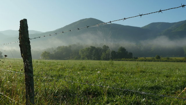 4K Early Morning in Cades Cove 1
