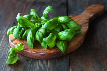 Fresh green basil