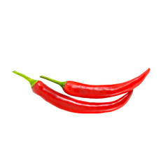 chili pepper isolated