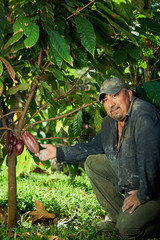 farmer with cacao pod