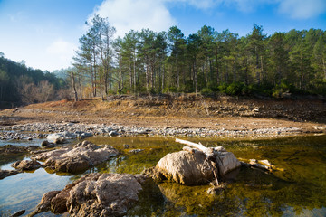 Mountains river   in  Catalan Pyrenees