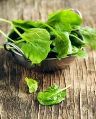 Fototapeta premium Fresh spinach in bowl on wooden background. Selective focus