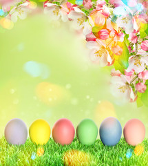 Easter eggs with apple tree blossoms green grass
