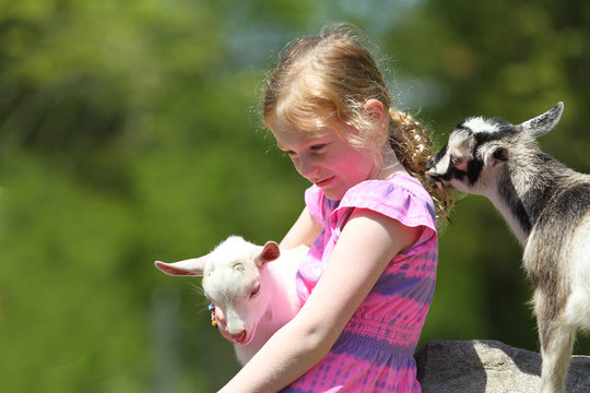 Girl and Her Beloved Baby Goats