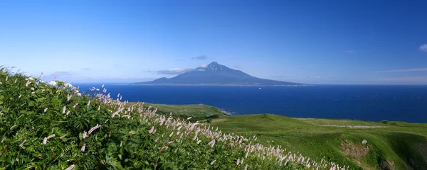 Photo sur Plexiglas Été 洋上の利尻島