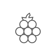 Raspberry line icon.