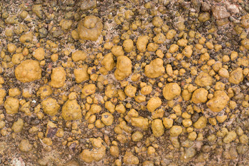 yellow stone background