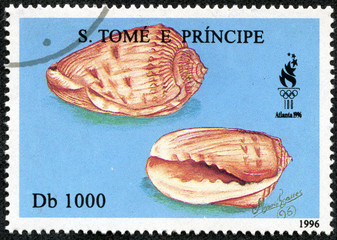 stamp printed in Sao Tome shows Seasells
