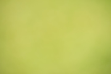 Green abstract bokeh background