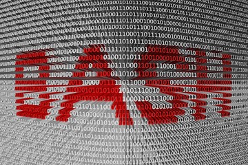 bash is presented in the form of binary code