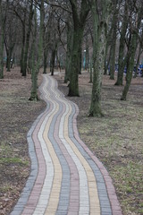 Walkway in the park.