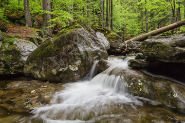 Obraz premium Cascade on the river in Bohemia
