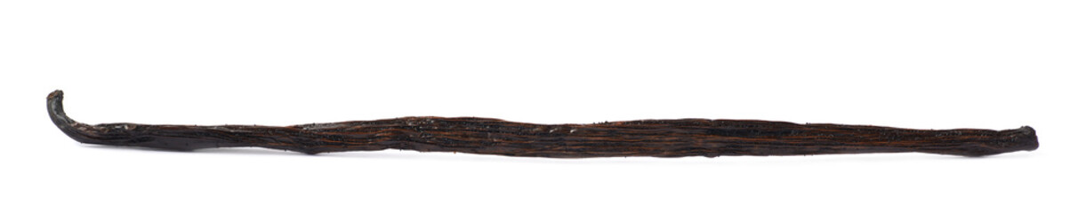 Dried vanilla pod fruit isolated