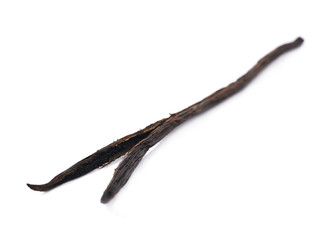 Obraz premium Dried vanilla pod fruit isolated