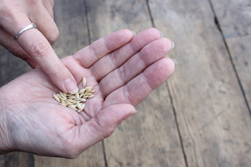 Plant seeds in the women's palm