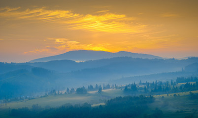 Carpathian meadows