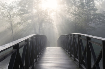 Sunrise over old wooden bridge, with trees on a background and sun rays, Sweden