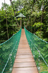 Hängebrücke im Park