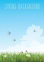 vertical spring background with blue gradint sky and green grass