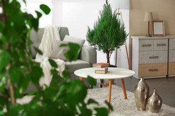 Room interior with sofa, table and little tree