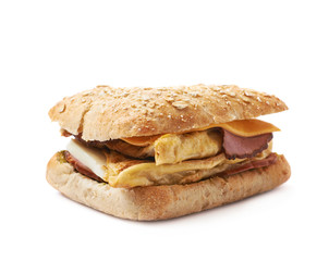 Home made sandwich isolated
