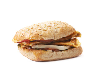 Home made sandwich isolated