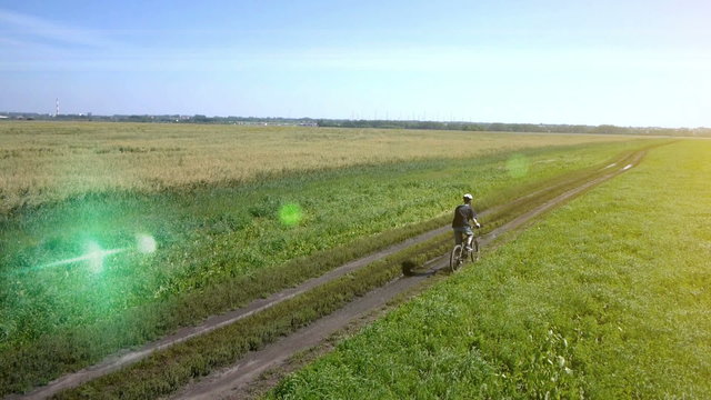 AERIAL: Young man cycling on bicycle at rural road through green and yellow field.