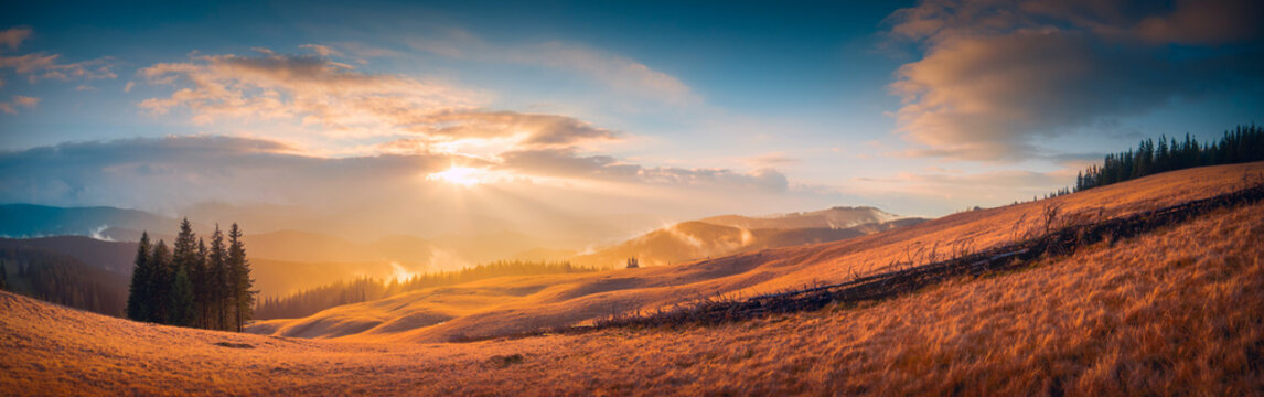 Gold light