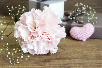 Carnation flowers on wooden background