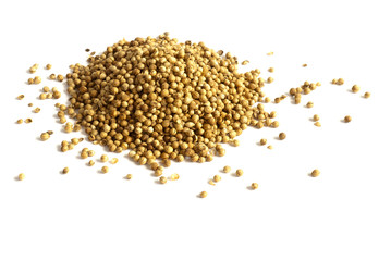 coriander seeds