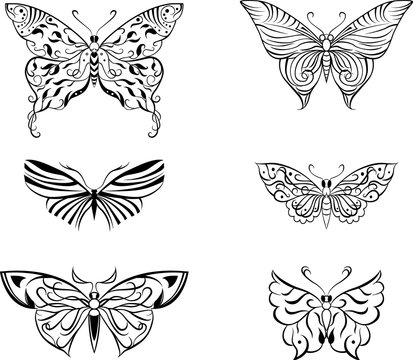 stylized butterfly set