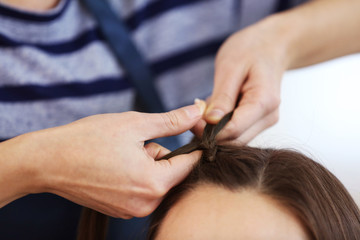 Obraz na płótnie Canvas Professional hairdresser braiding clients hair