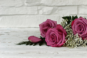 Rosen mit Textfreiraum,