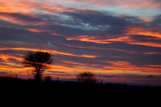 Fototapeta Pejzaż - drzewa i zachód słońca