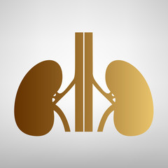 Human kidneys sign