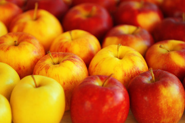 Ripe apples, closeup