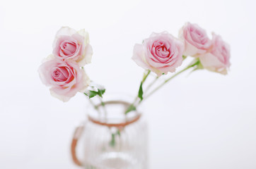 Purple roses in vase on blurred background