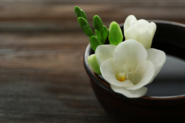 Beautiful flower in the bowl with water on wooden background, close up