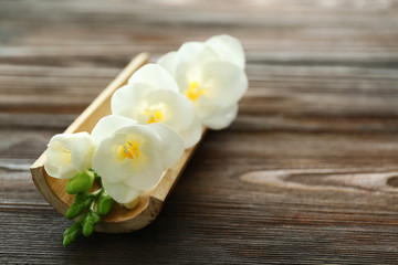 Beautiful white flowers on wooden background
