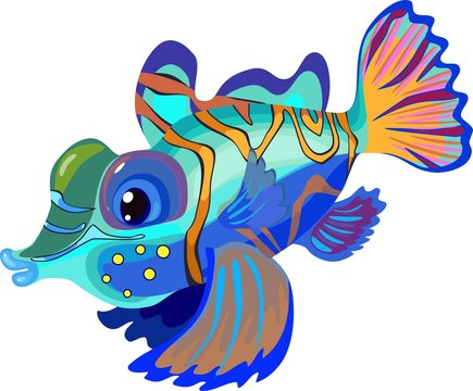 Mandarinfish